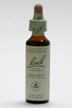 Cerato 20 ml (Bach Flower Remedies)