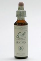 Gentian 20 ml (Bach Flower Remedies)