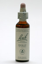 holly 20 ml (Bach Flower Remedies)