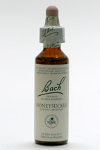honeysuckle 20 ml (Bach Flower Remedies)