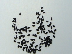 black cumin seed (whole)