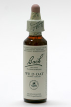 Wild Oat 20 ml (Bach Flower Remedies)