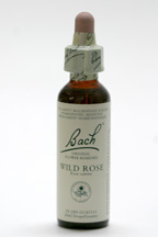 Wild Rose 20 ml (Bach Flower Remedies)