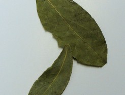Bay leaves, Organic (whole)