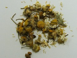 chamomile flower, organic