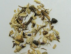 echinacea purpurea root, organic (c/s)