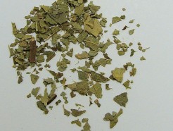eucalyptus leaf (c/s)