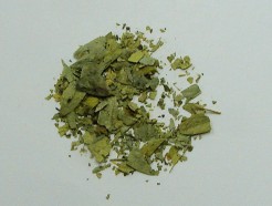 senna leaf (c/s)