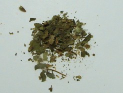 witch hazel leaf, (c/s)