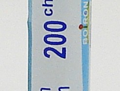hypericum perforatum 200ch sublingual pellets (boiron)