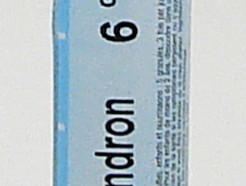 Rhus Toxicodendron, 6ch (Boiron)
