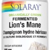 Fermented Lion's Mane